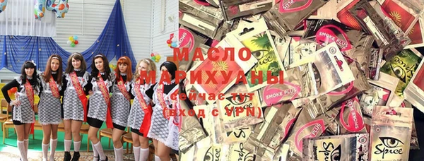 гидра Тайга