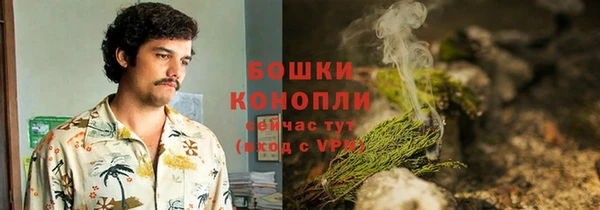 стафф Струнино