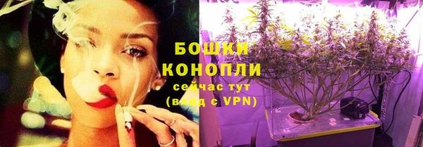 соль ск Зуевка